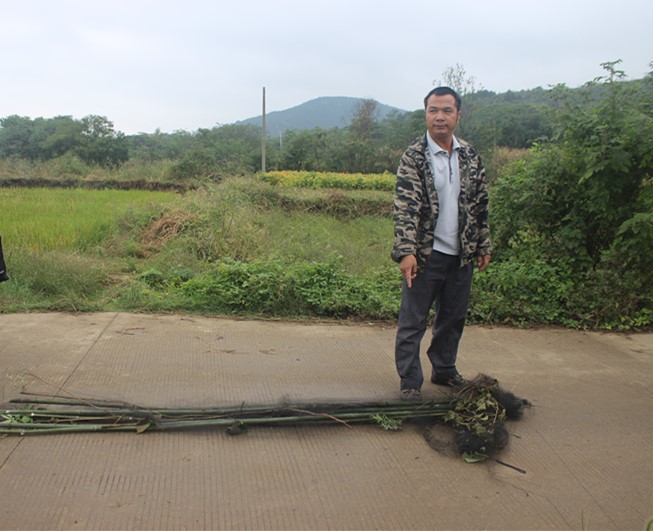 无为县成功捣毁一处非法捕鸟点