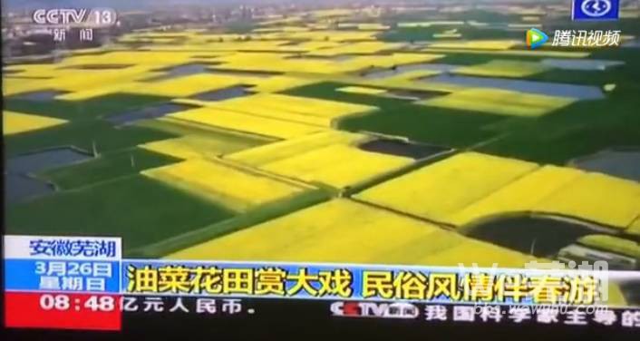 芜湖响水涧油菜花民俗表演上央视啦
