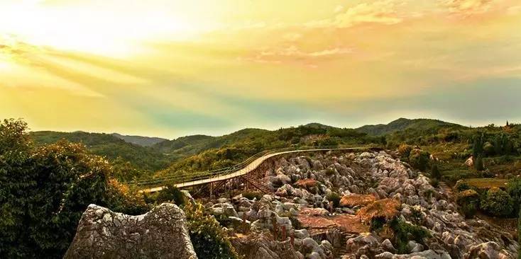芜湖南陵第九届丫山牡丹节将于今天盛大开幕