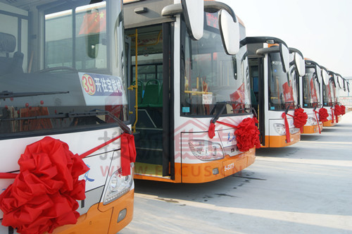 芜湖公交229路4月10日开通 线路站点看这里