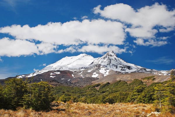 小预算聪明玩新西兰，深入北岛访哈比村，小资首选避暑趣（图／shutterstock.com、巨匠旅游、新西兰观光局提供）
