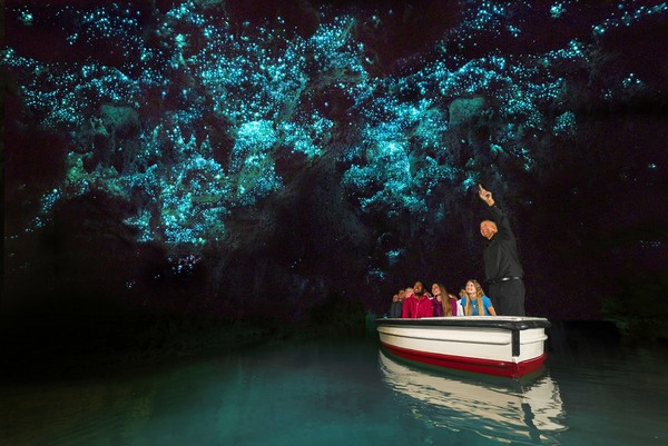 小预算聪明玩新西兰，深入北岛访哈比村，小资首选避暑趣（图／shutterstock.com、巨匠旅游、新西兰观光局提供）