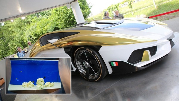 这辆千万电动超跑有够“ㄎ一ㄤ“！跑得快，还能在车内养…鱼？（图／翻摄自Motor1）