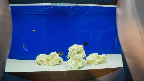 这辆千万电动超跑有够“ㄎ一ㄤ“！跑得快，还能在车内养…鱼？（图／翻摄自Motor1）