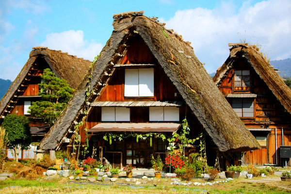 白川乡合掌村红叶