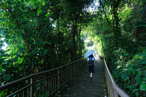 ▲新加坡旅游-花柏山、花柏山缆车、夜景