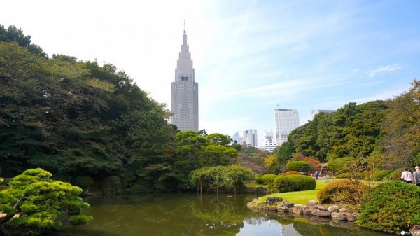 东京新宿御苑。（图／matcha）
