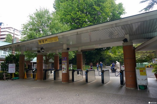 东京新宿御苑。（图／matcha）