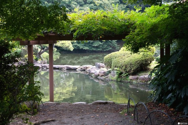 东京新宿御苑。（图／matcha）