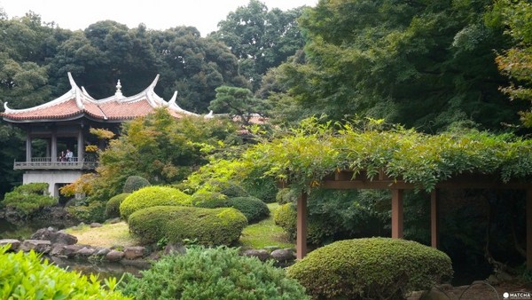 东京新宿御苑。（图／matcha）
