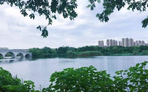 芜湖版“西溪湿地”大阳垾湿地公园，你去过吗？