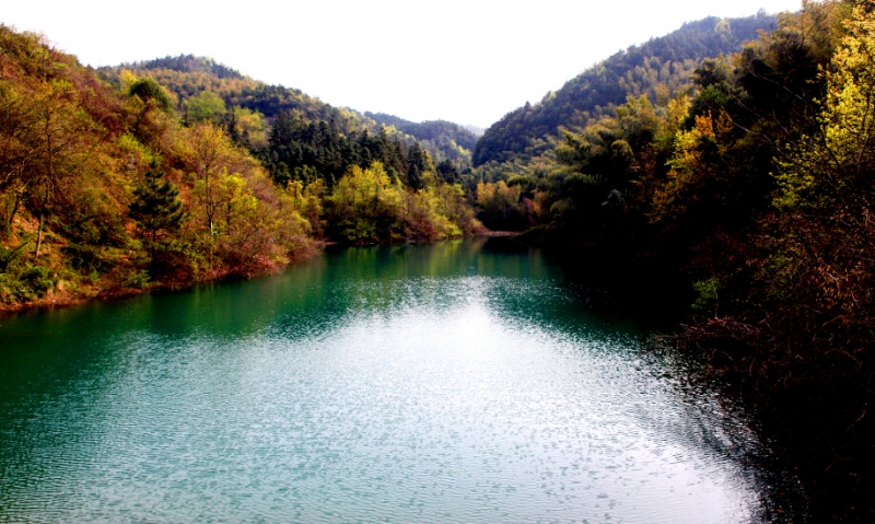 无为县春天去哪儿 春游景点推荐