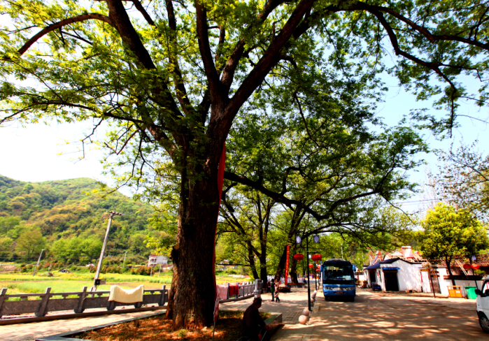 繁昌县乡村旅游去处推荐 可以去这些地方玩