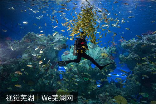 芜湖带小孩适合去哪玩？看看这个亲子游攻略