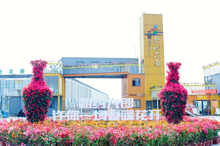 芜湖六郎湿地花海好玩吗？2019年最新门票价格+攻略（春游推荐）