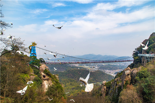 芜湖繁昌马仁奇峰“百鸟飞越玻璃桥”是什么？现场图