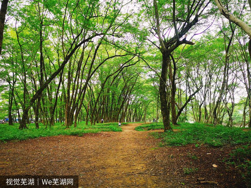黄山角落的西溪南古村落，现实中的绿野仙踪